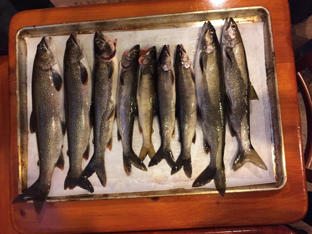 Little Hawk Resort & Marina Algonquin Highlands Ngoại thất bức ảnh
